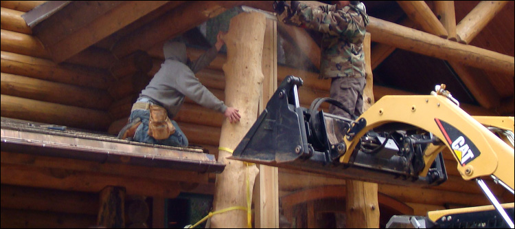 Log Home Log Replacement  Fackler, Alabama
